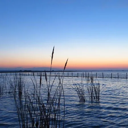 فندق مبيت وإفطار A.j. ليزينا